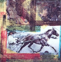 /album/galleria-foto-homepage/arte-e-natura-23-jpg/